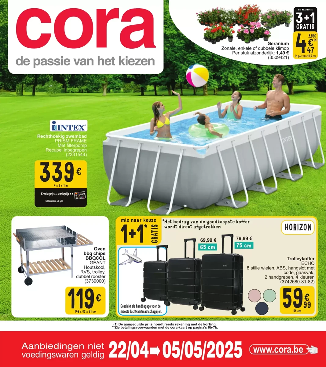 Folder Cora