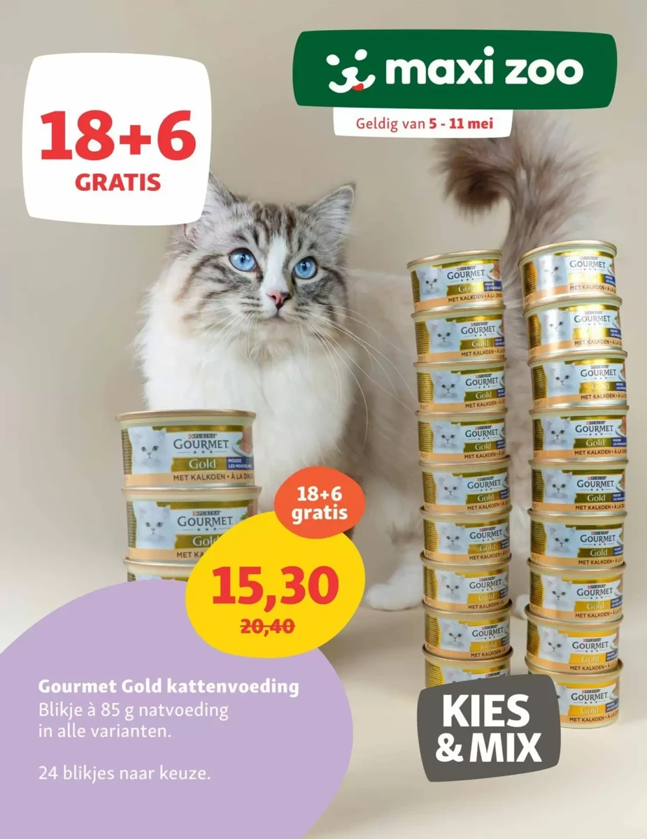 Folder Maxi Zoo